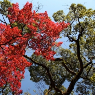 彩-5.jpg