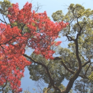 彩-5.jpg