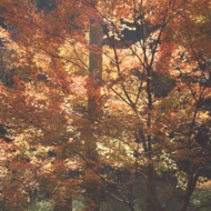 彩-7.jpg