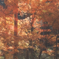 彩-8.jpg