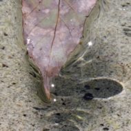 水-3.jpg