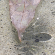 水-3.jpg