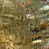 水-4.jpg