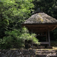 里-1.jpg
