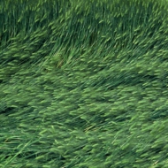 ４.jpg